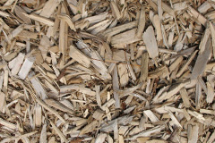 biomass boilers Crickadarn